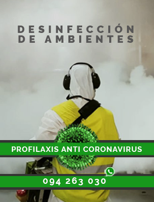 Combatir Corona Virus