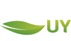 Plagas UY