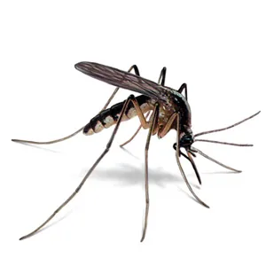 Control de mosquitos con Trampa LED UV — Plagas UY