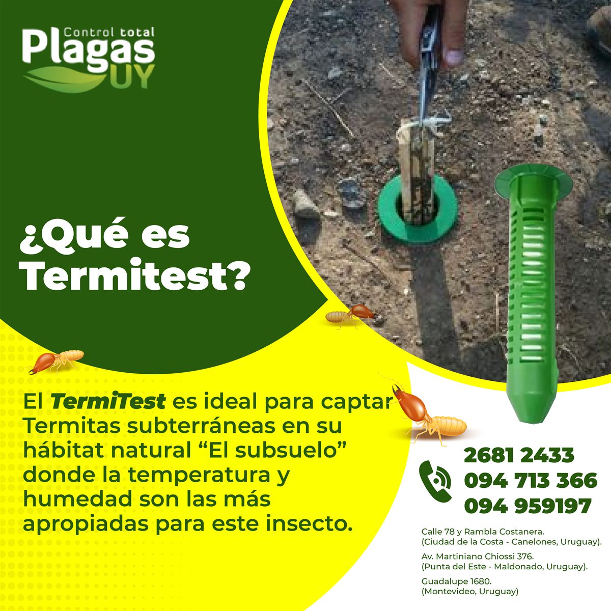 Estación TermiTest de monitoreo perimetral para prevención de termitas subterráneas en Uruguay